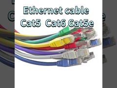 ETHERNET CABLE SPECIES